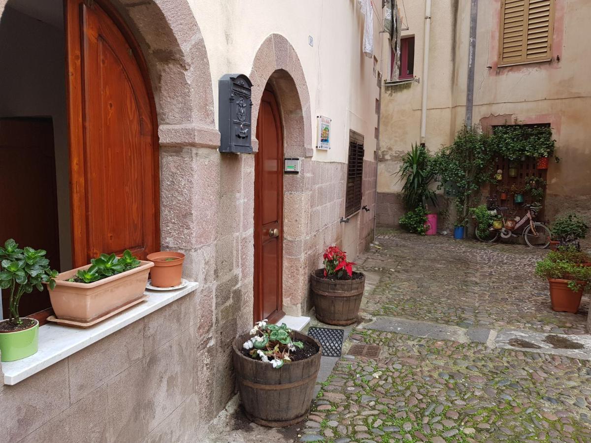 B&B Da Antonella 보사 외부 사진